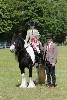thornton-le-dale-gala showclass7acharity25-5-20250